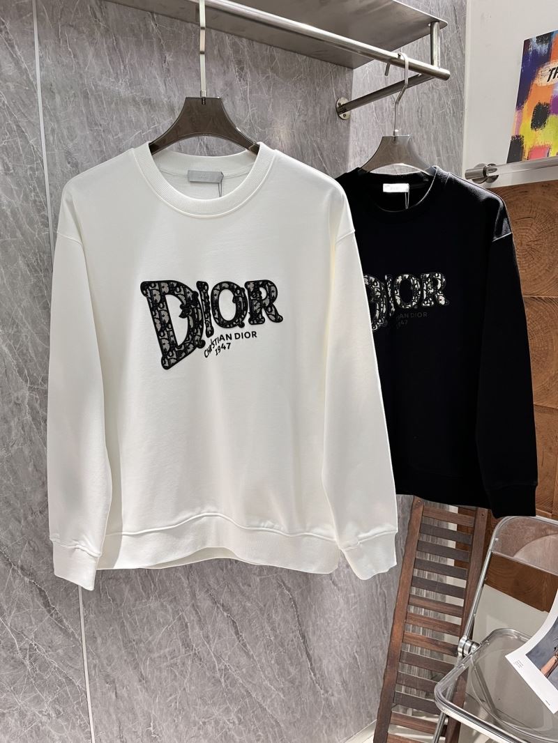 Christian Dior Hoodies